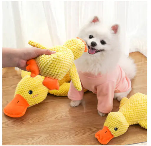 Soothing Duck Toy