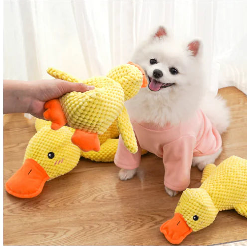 Soothing Duck Toy